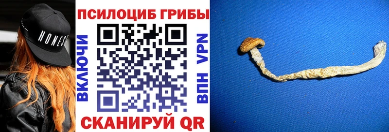 Галлюциногенные грибы мицелий Ахтубинск