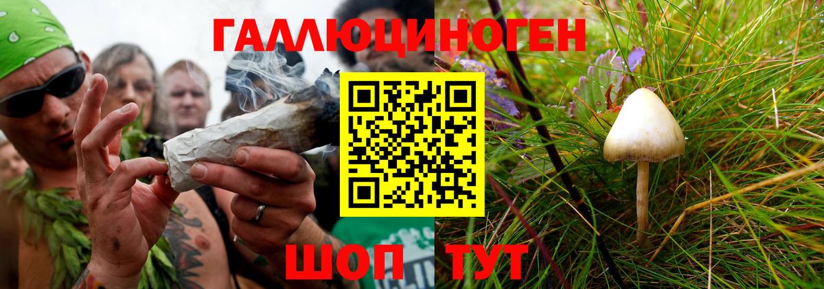 Галлюциногенные грибы ЛСД Ахтубинск