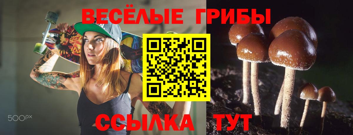 Галлюциногенные грибы прущие грибы  сколько стоит  Вход с VPN  Ахтубинск  Галлюциногенные грибы прущие грибы 