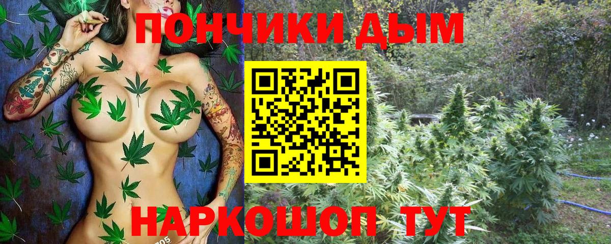 Конопля индика  Бошки Шишки план  Бошки марихуана LSD WEED  Ахтубинск  Каннабис MAZAR  Вход с VPN 